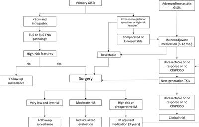 Advances of endoscopic and surgical management in gastrointestinal stromal tumors